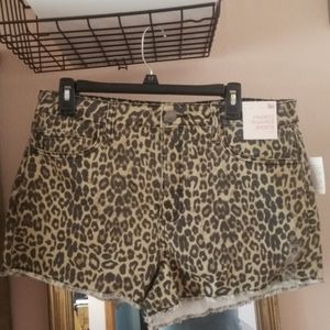 Leopard Cheeta shorts